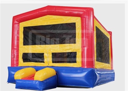 Super fun  Party Bouncer