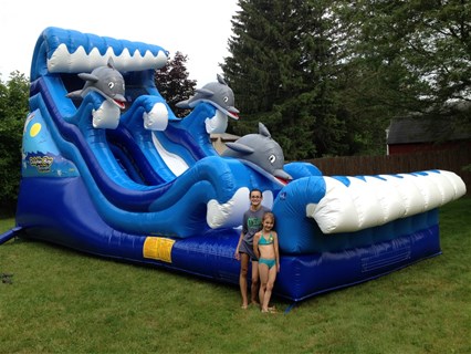 Dolphin Inflatable Slide