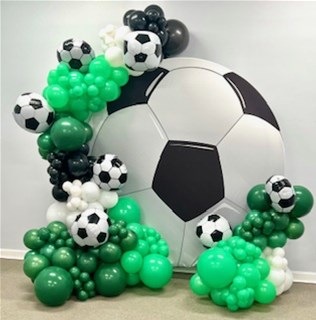  backdrop and Soccer cover 